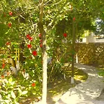 Mirabelle Hotel 3*