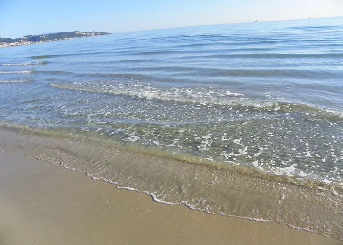 Mirabelle 아르가시