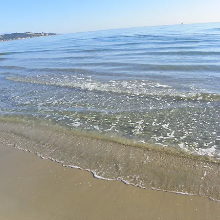 Mirabelle Αργάσι