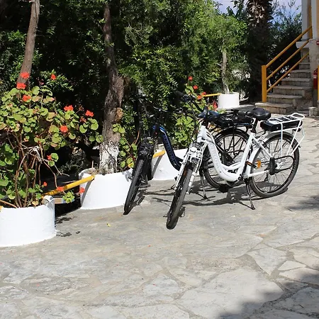 Mirabelle 3* Αργάσι